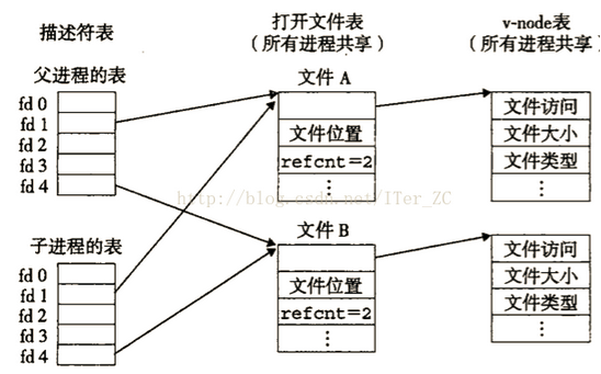 进程和线程的区别（操作系统级别解析）-鸿蒙开发者社区