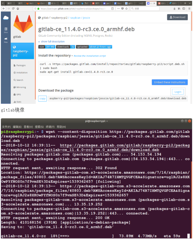 树莓派安装Gitlab打造私人Git服务-鸿蒙开发者社区