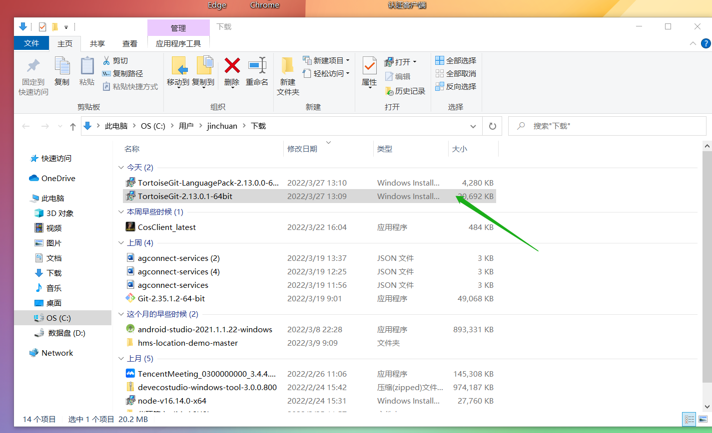 【木棉花】手把手教你用TortoisGit将文件上传至Gitee-鸿蒙开发者社区