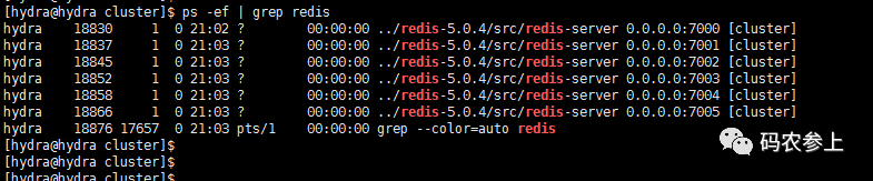 Redis Cluster高可用集群搭建-鸿蒙开发者社区