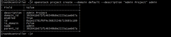 开源云平台“Openstack”（一）_启动服务_15