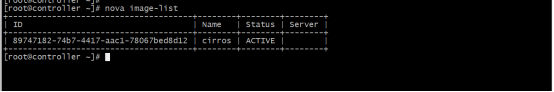 #夏日挑战赛#开源云平台“Openstack”-开源基础软件社区 开源云平台“Openstack”(一)_启动服务_42