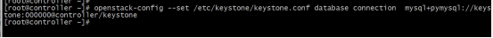 #夏日挑战赛#开源云平台“Openstack”-开源基础软件社区 开源云平台“Openstack”(一)_启动服务_07