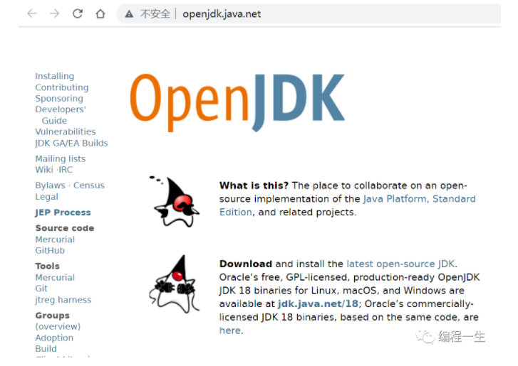 甲骨文严查Java授权，换openJDK要避坑-开源基础软件社区