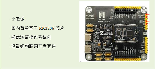 基于小凌派RK2206的智能渔排养殖设计-开源基础软件社区