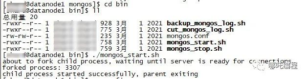 一次线上事故，我顿悟了MongoDB的精髓-鸿蒙开发者社区