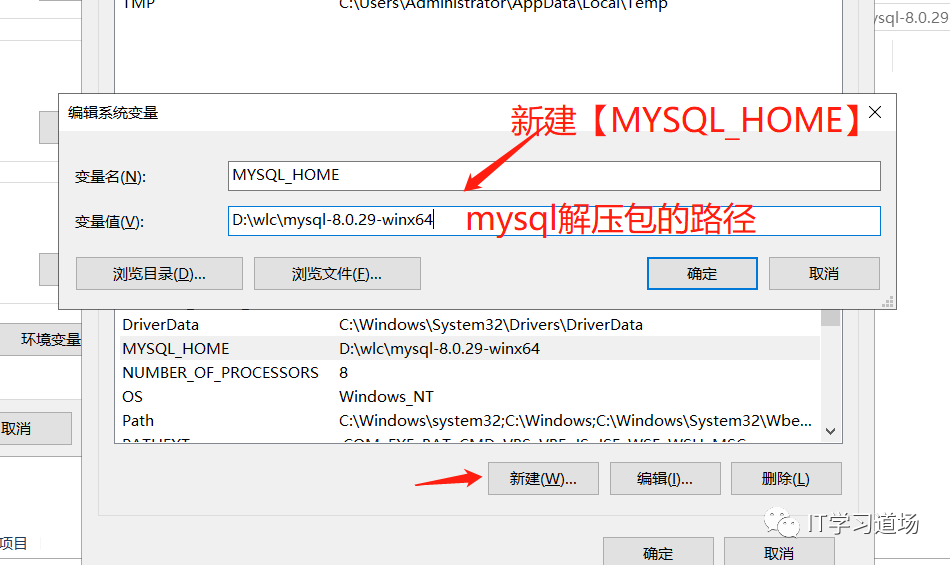 windows下Mysql 8.0解压版下载安装及配置教程-开源基础软件社区