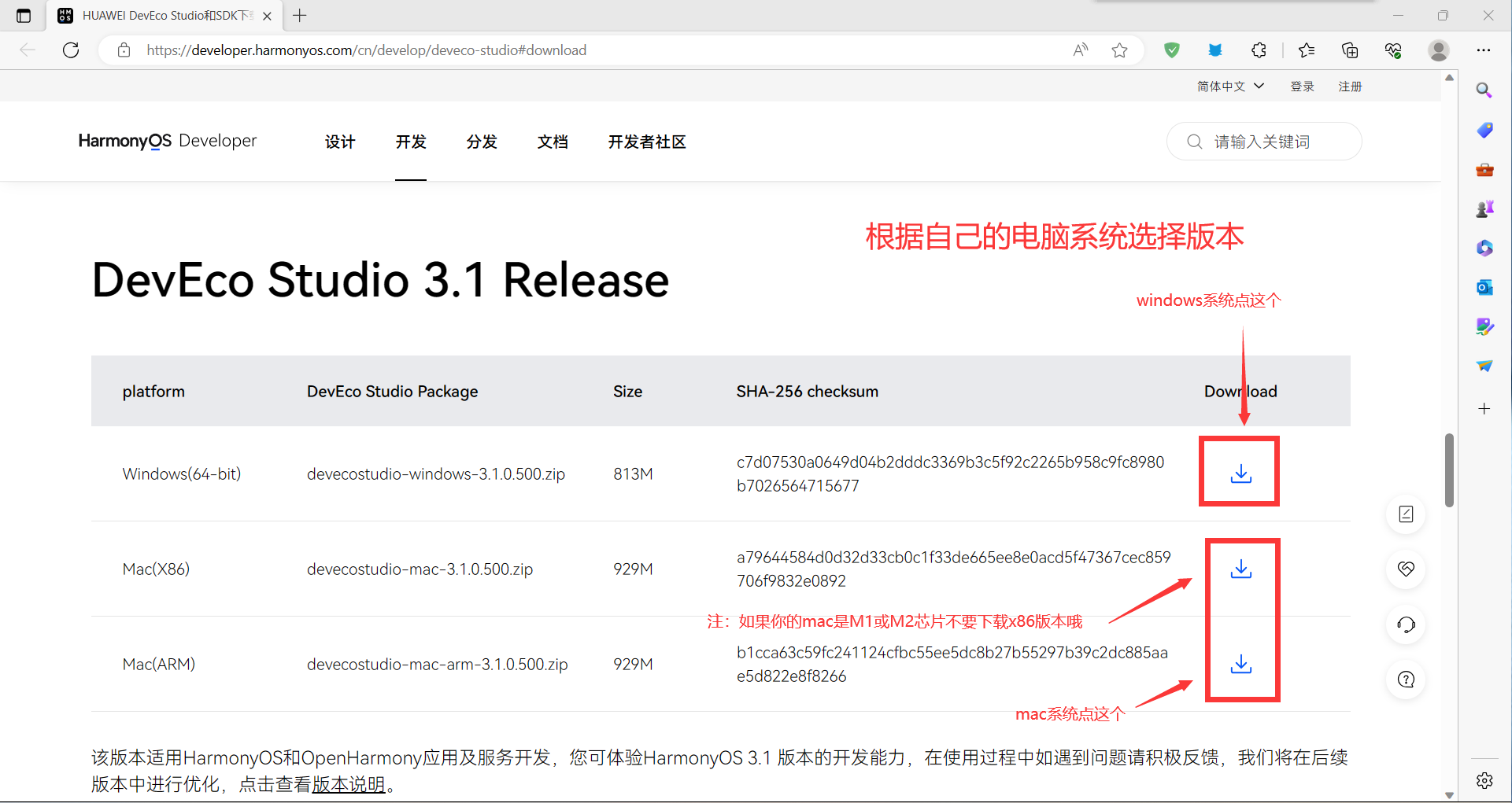 【HarmonyOS开发】超详细手把手教你安装DevEco Studio及其配置-鸿蒙开发者社区