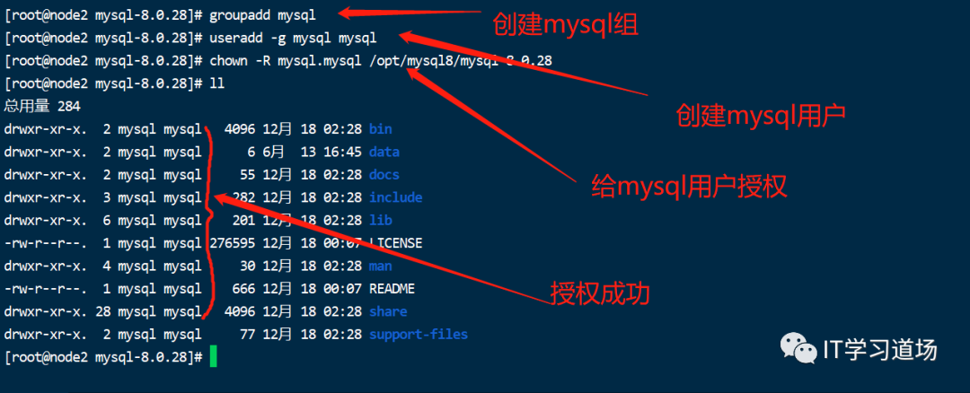 linux下安装mysql8.x-开源基础软件社区