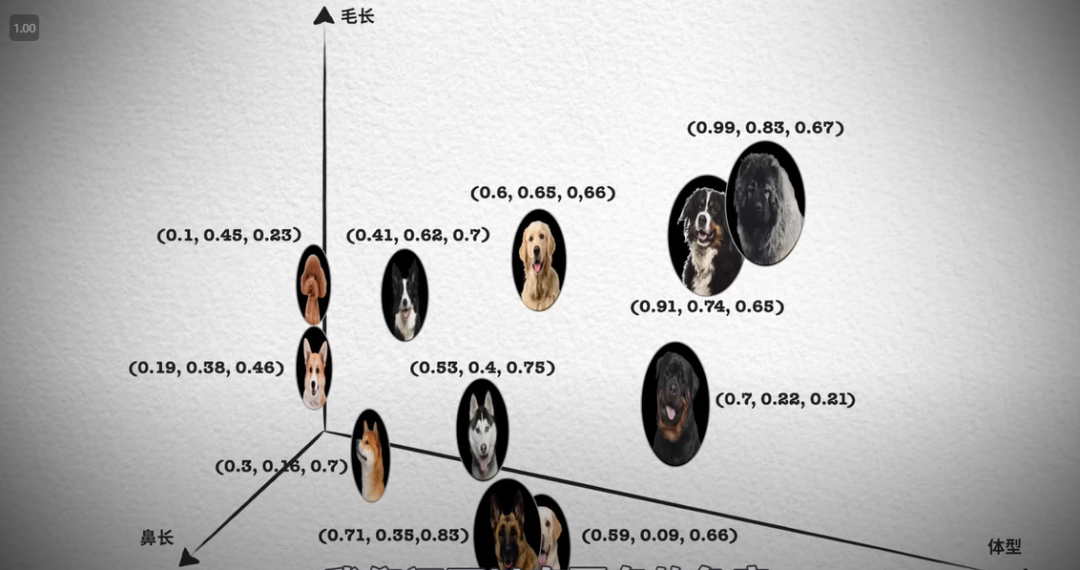 干货 | 详述 Elasticsearch 向量检索发展史-鸿蒙开发者社区