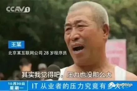 公司的技术总监每天都在干蛤？-鸿蒙开发者社区