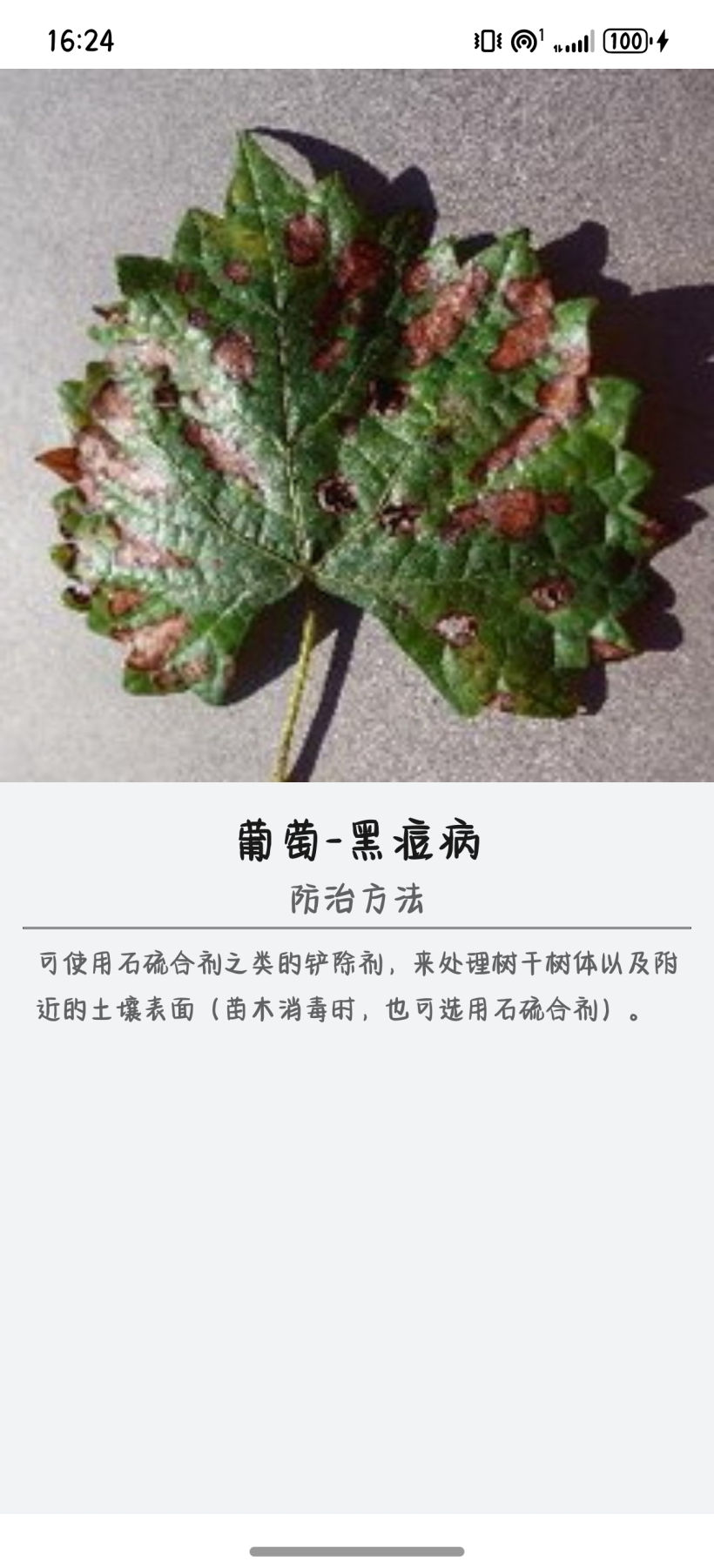 ＃放码来战．端云一体化开发＃HarmonyOS 5 【农民叔叔】01.人工智能AI诊断分析农作物病虫害APP介绍-鸿蒙开发者社区