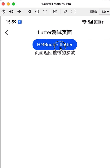 鸿蒙-flutter-使用FlutterEntry的路由管理和参数传递_下_页面返回时透传数据-鸿蒙开发者社区