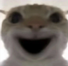 #星光不负 码向未来#从Vue到鸿蒙小记-鸿蒙开发者社区