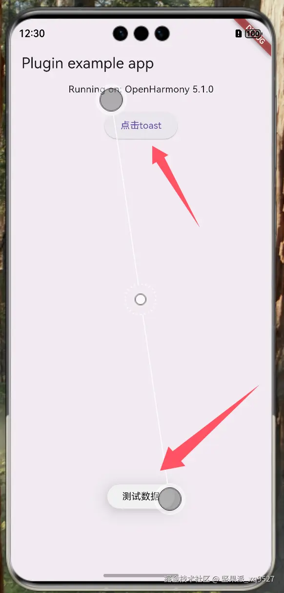 #星光不负 码向未来# 2025我的鸿蒙布道之旅记录-鸿蒙开发者社区