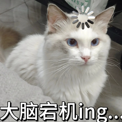 #星光不负 码向未来#我的鸿蒙学习历程-鸿蒙开发者社区